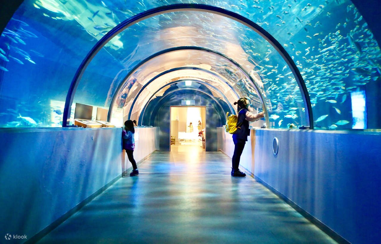 🏰 노보리베쓰 마린파크 닉스 이미지 8